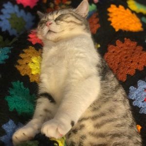 Meet your Posher, Bernice